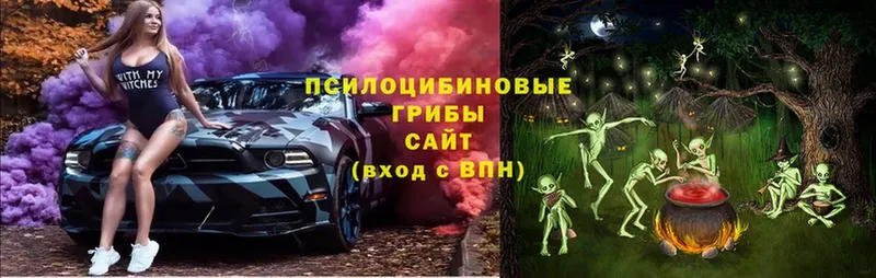 Псилоцибиновые грибы мицелий  Белово 